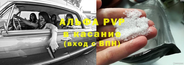 прущие грибы Абдулино