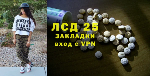 прущие грибы Абдулино
