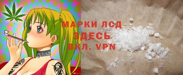 прущие грибы Абдулино