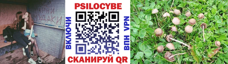 Псилоцибиновые грибы ЛСД Шумерля